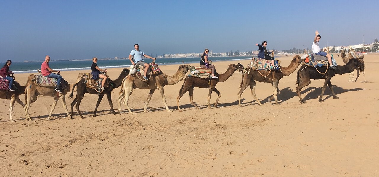 InterWorks Digital Nomad camel ride