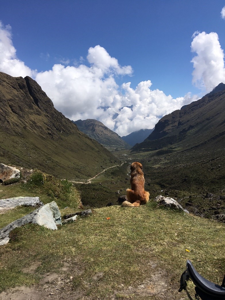 Carl digital nomad Peru