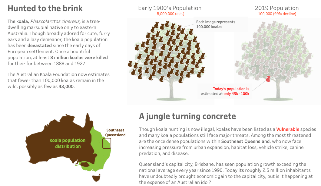 Fall of the Queensland Koala data viz