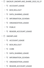 Automatically Backup the SNOWFLAKE Shared Database with a Python Stored ...