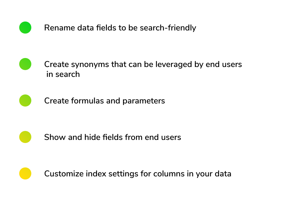 Bullet point list: rename data fields, create synonyms, formulas, show/hide fields, customize index settings