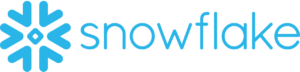 Snowflake Use Cases