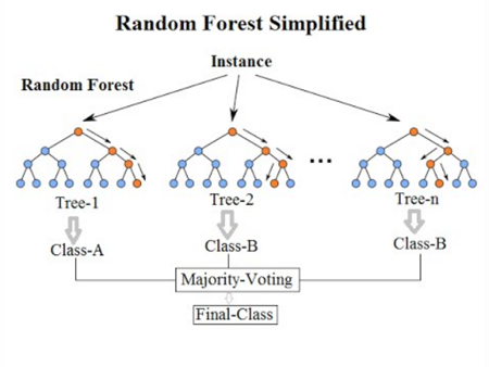 Random forest simplified