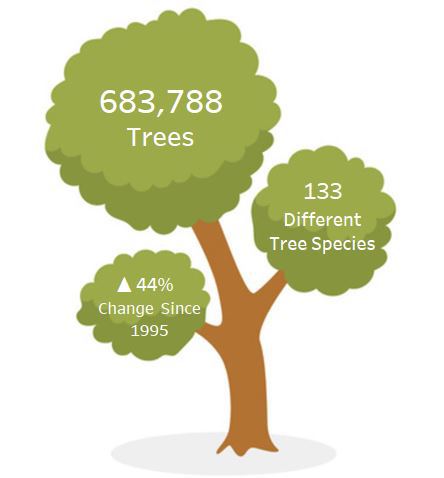 NYC tree viz infographic