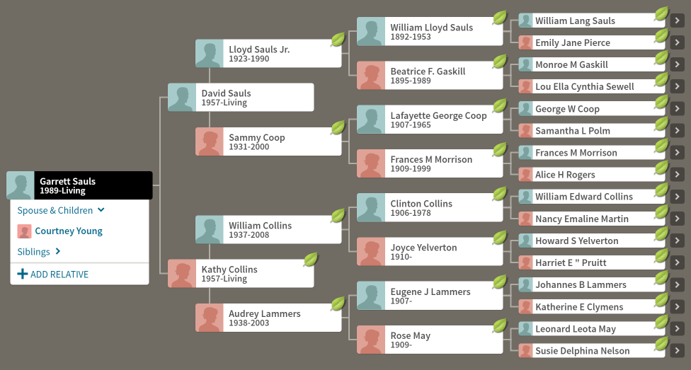 sierra generations family tree