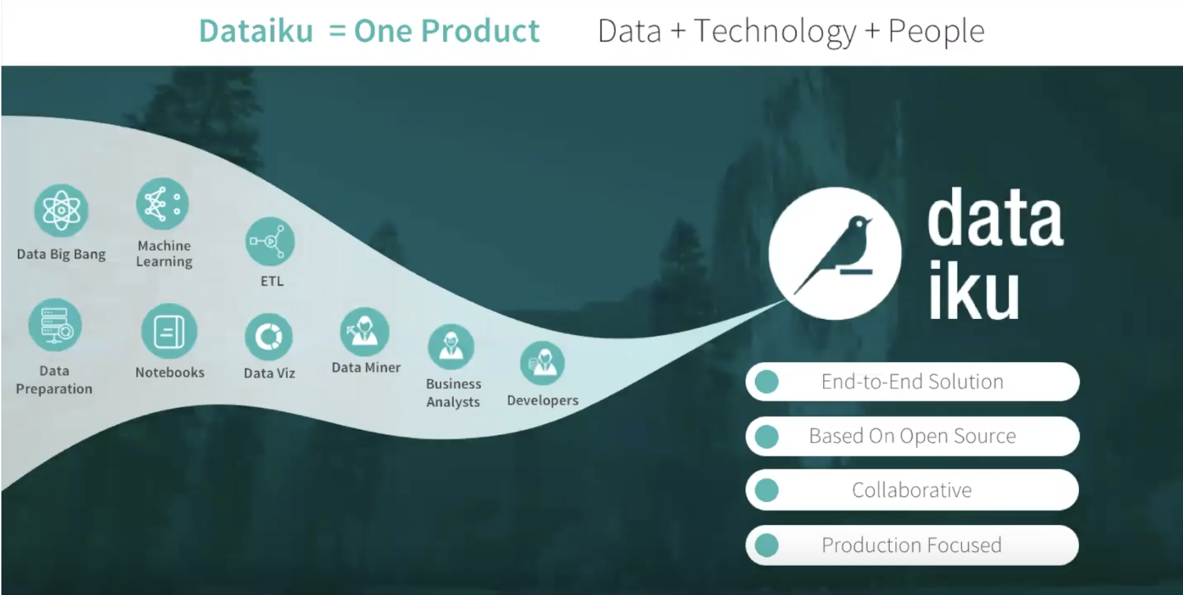 Dataiku Example Slide