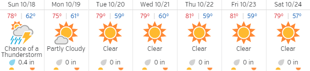 Vegas forecast